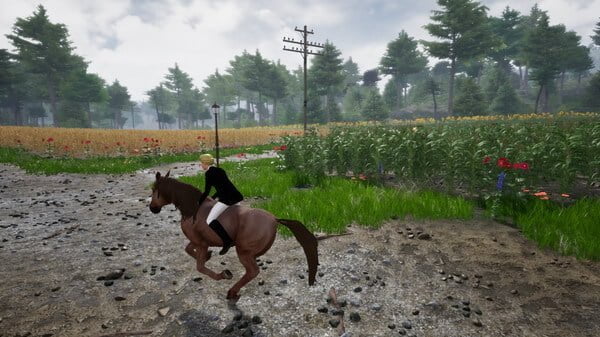 Horse Riding Deluxe 2 Crack Free Download