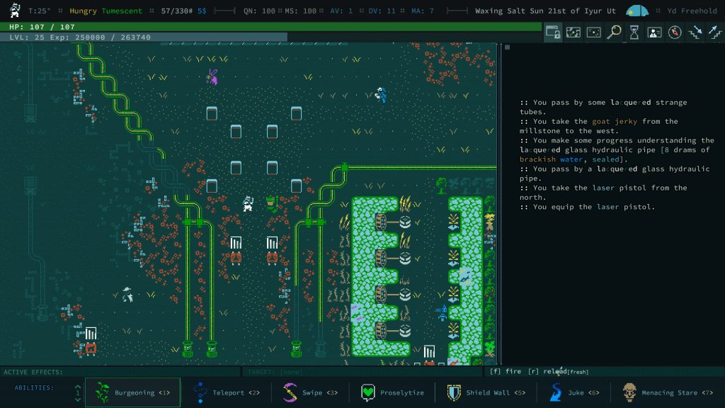 Caves of Qud