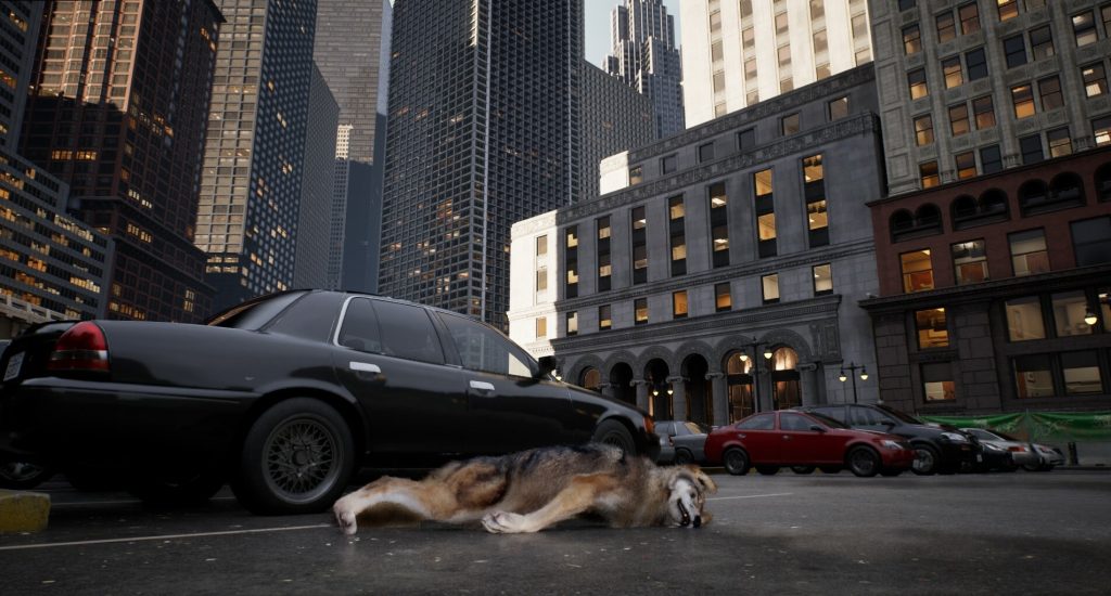 WOLF IN THE CITY