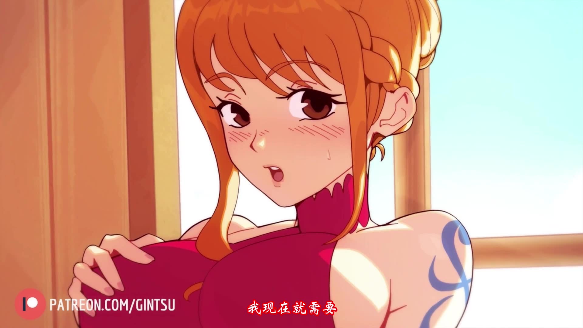 Nami Persuasiveness [Chinese Subtitle] [Gintsu]