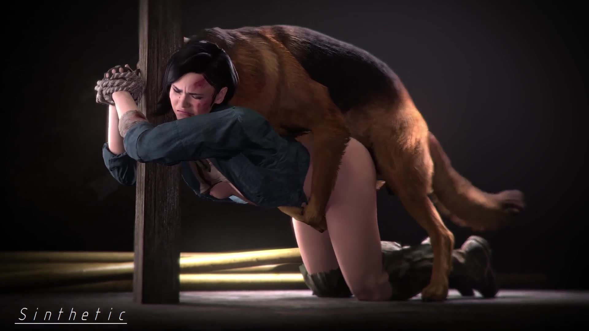 Helen Park Loves Dogs [Sinthetic]