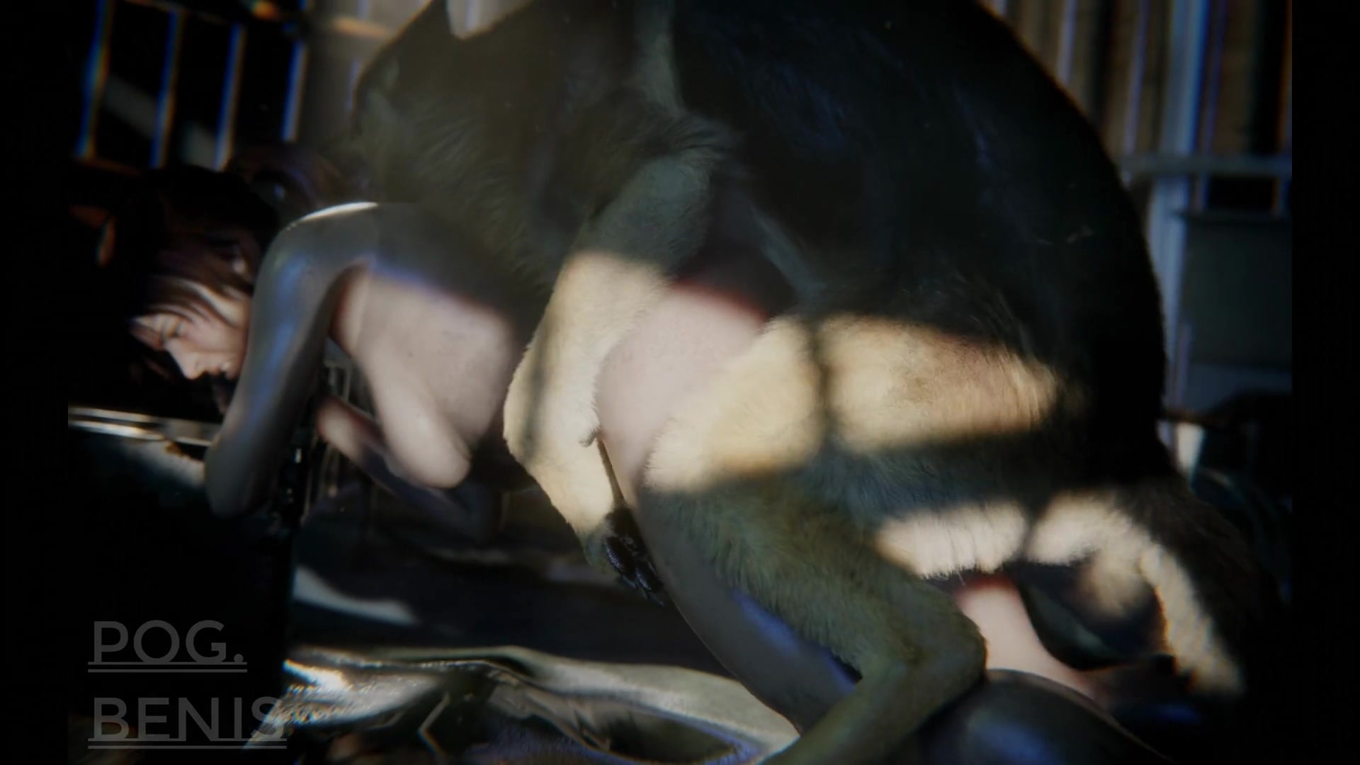 Lara’s Dog [Pog Benis]
