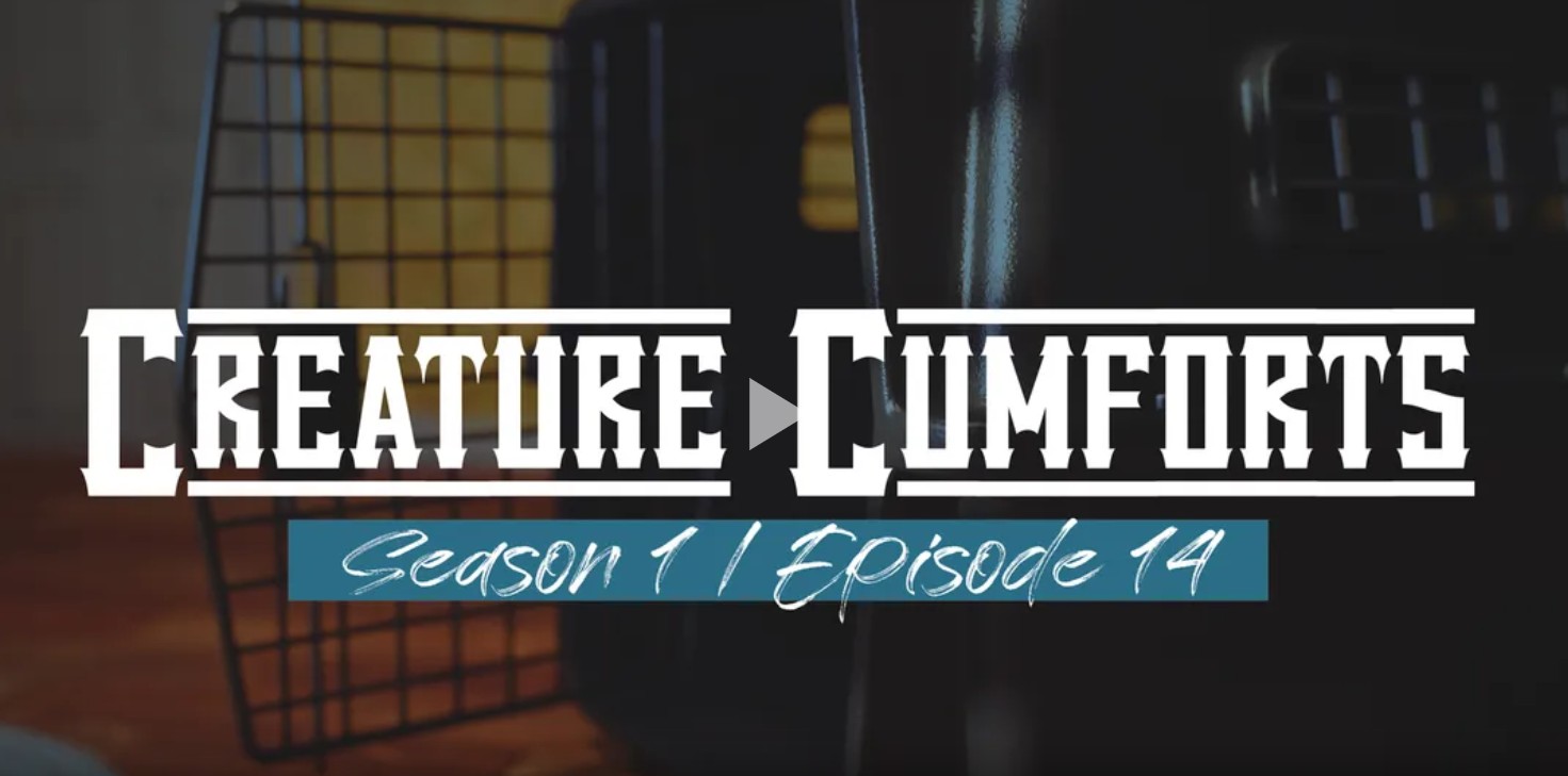 Creature Cumforts – S01E14 [Moomoo Taboo]
